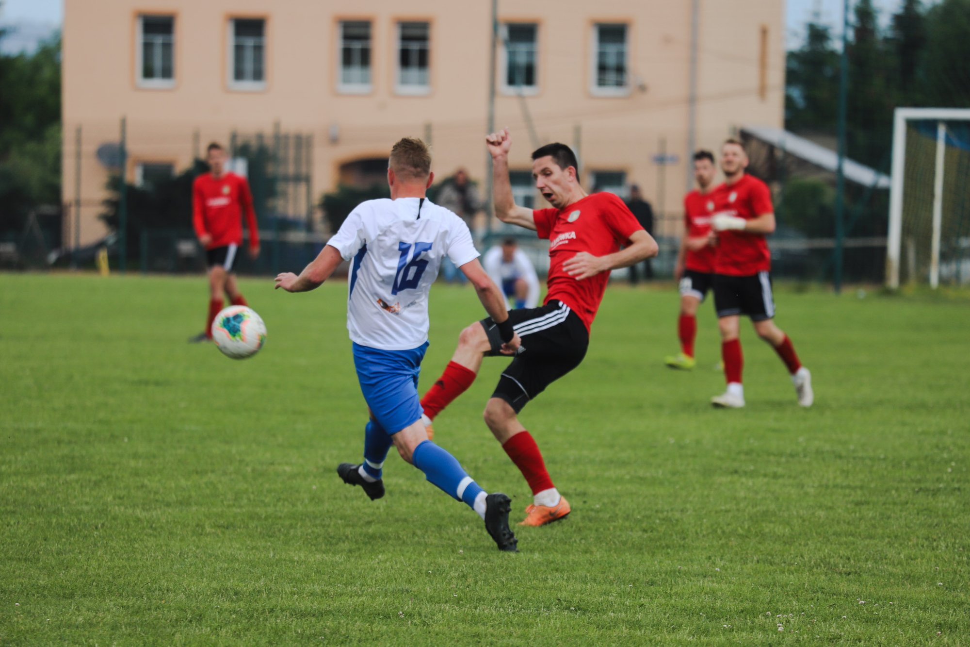 w-gminie-mysakowice-rzadzi-orze-97379