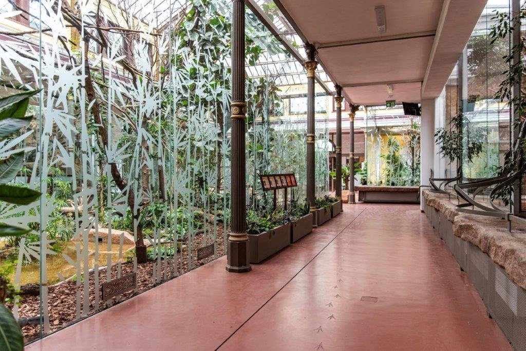 ptaszarnia-odnowiona-97406