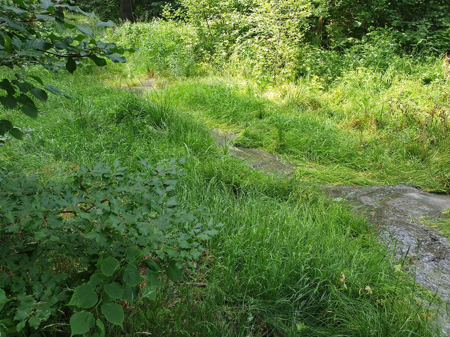 fekalia-zaleway-ake-97547