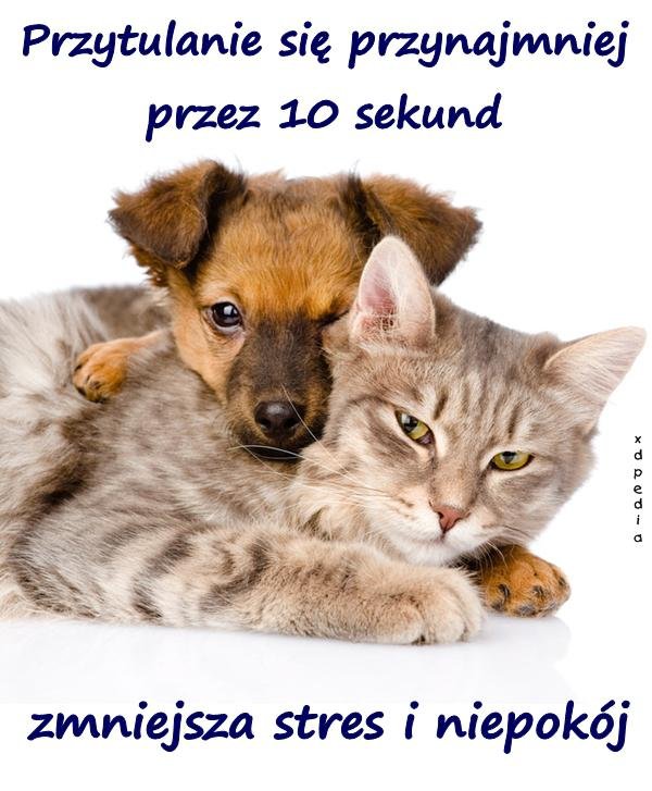dzien-przytulania-97608