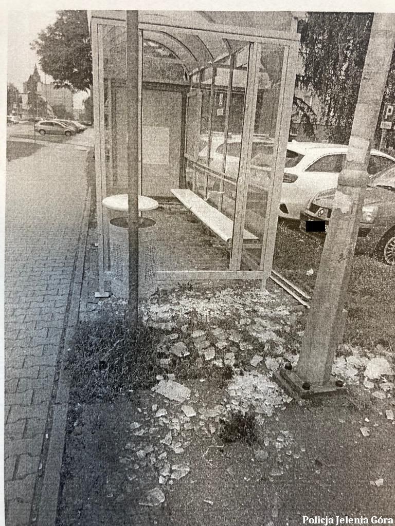 zniszczy-wiate-przystankowa-97802