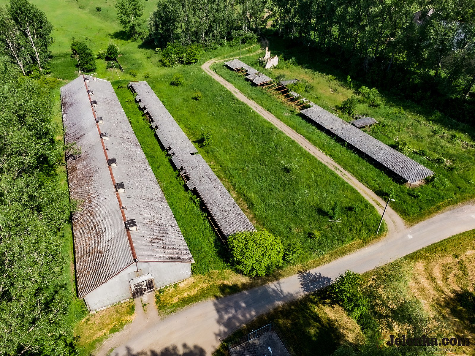 gmina-zapomniaa-o-spacerowej-97840