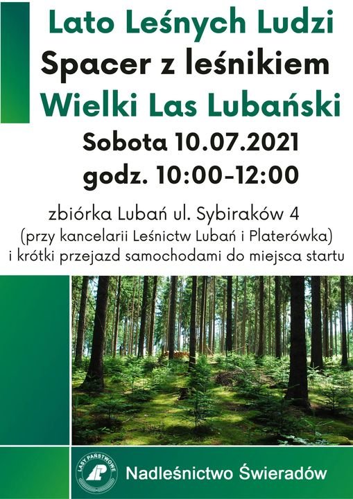 lato-lesnych-ludzi-97959