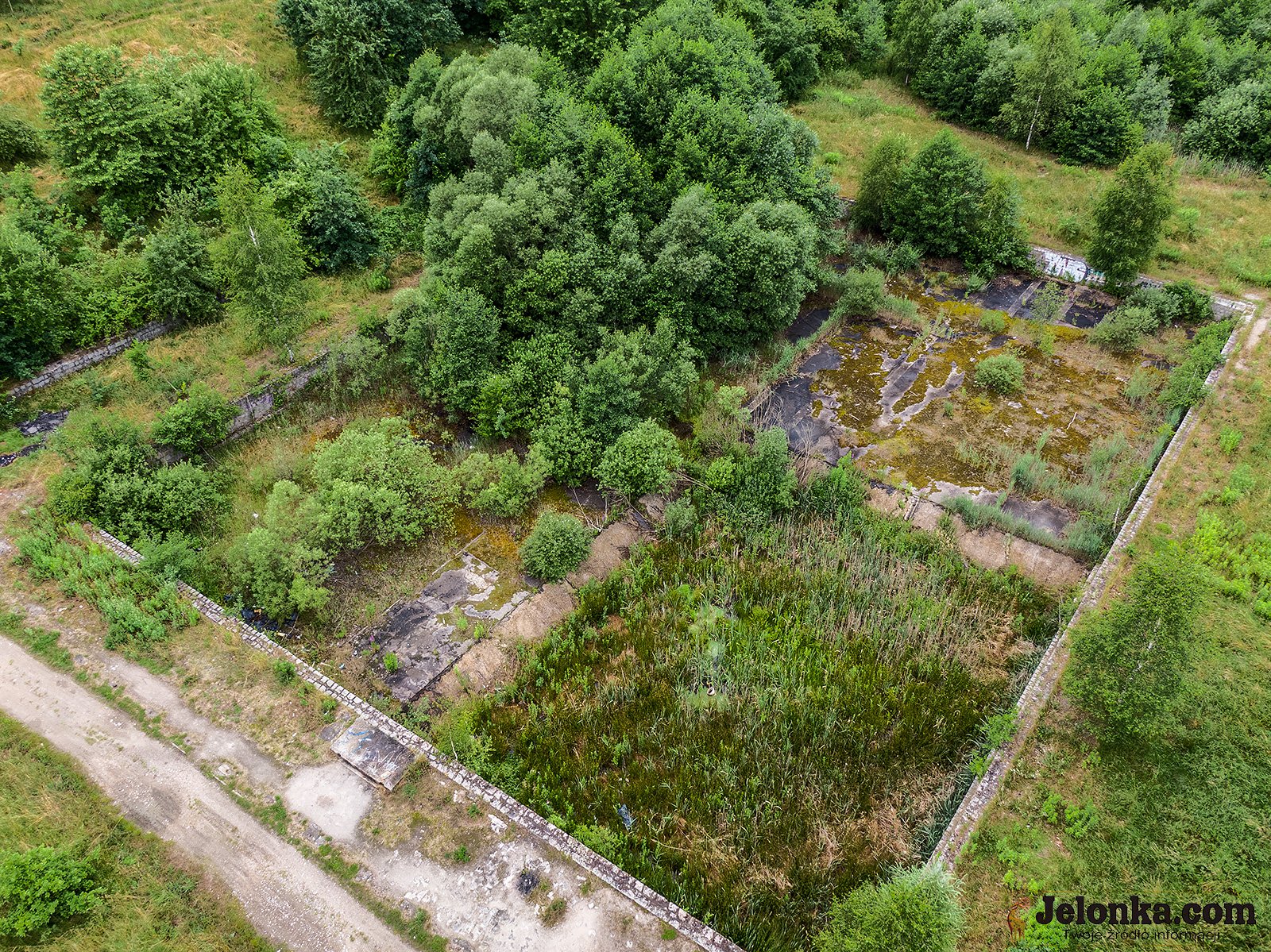 dzieki-interwencji-mieszkanki-sprawca-zosta-ukarany-za-wypalanie-kabli-98001