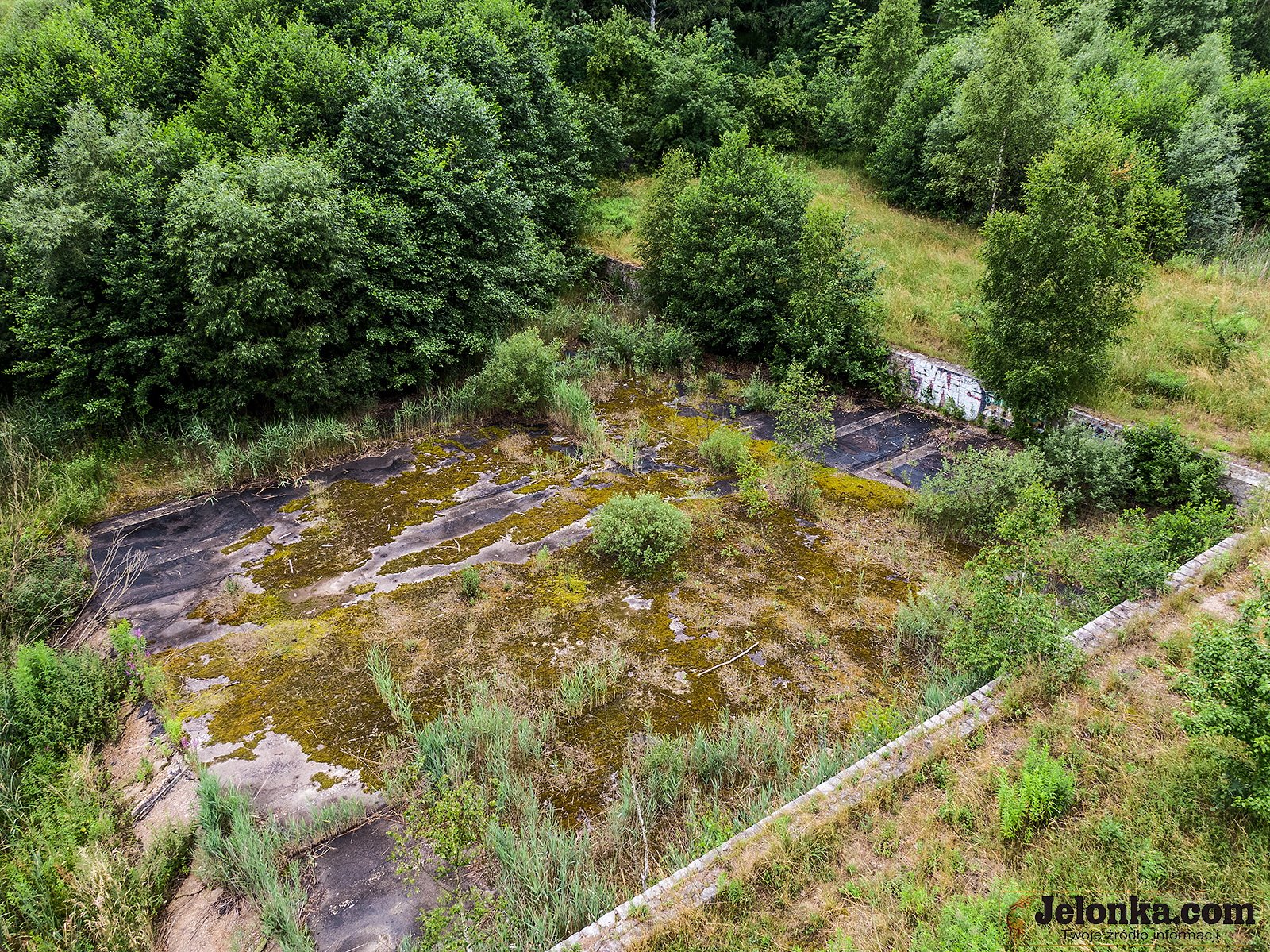 dzieki-interwencji-mieszkanki-sprawca-zosta-ukarany-za-wypalanie-kabli-98001