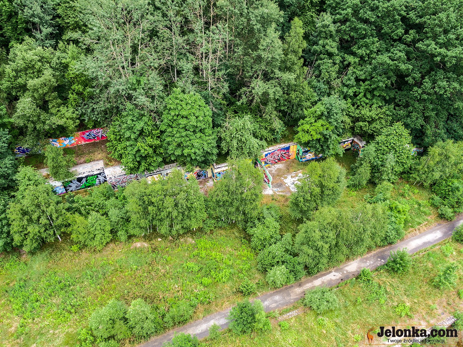 dzieki-interwencji-mieszkanki-sprawca-zosta-ukarany-za-wypalanie-kabli-98001