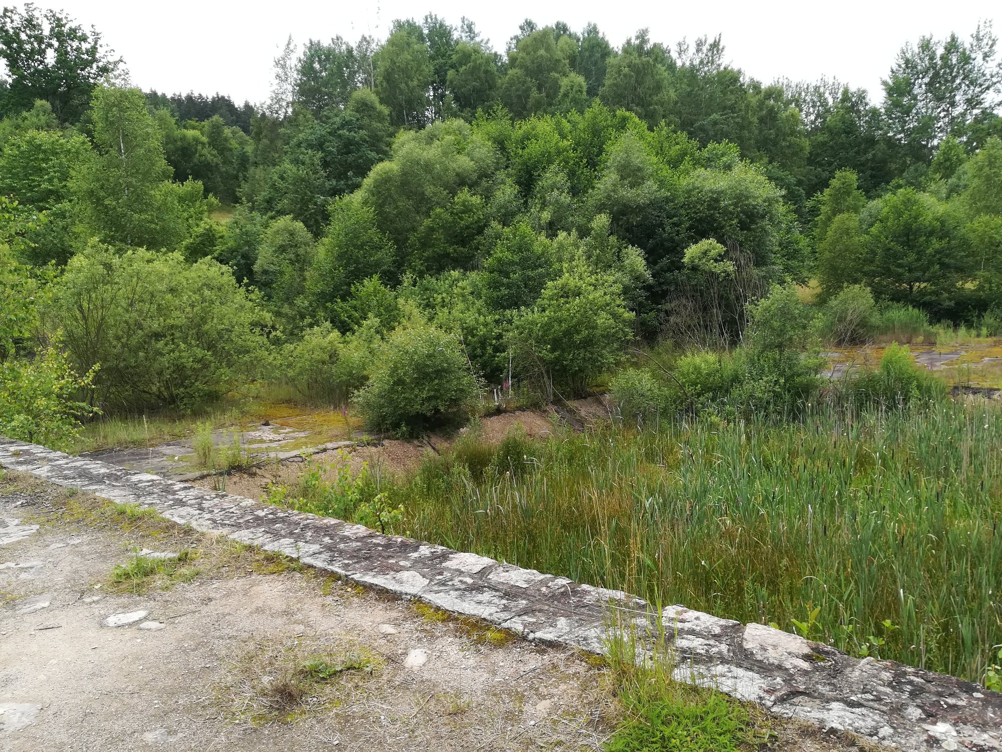 czytelniczka-utrudnic-wjazd-na-rakownice-98060