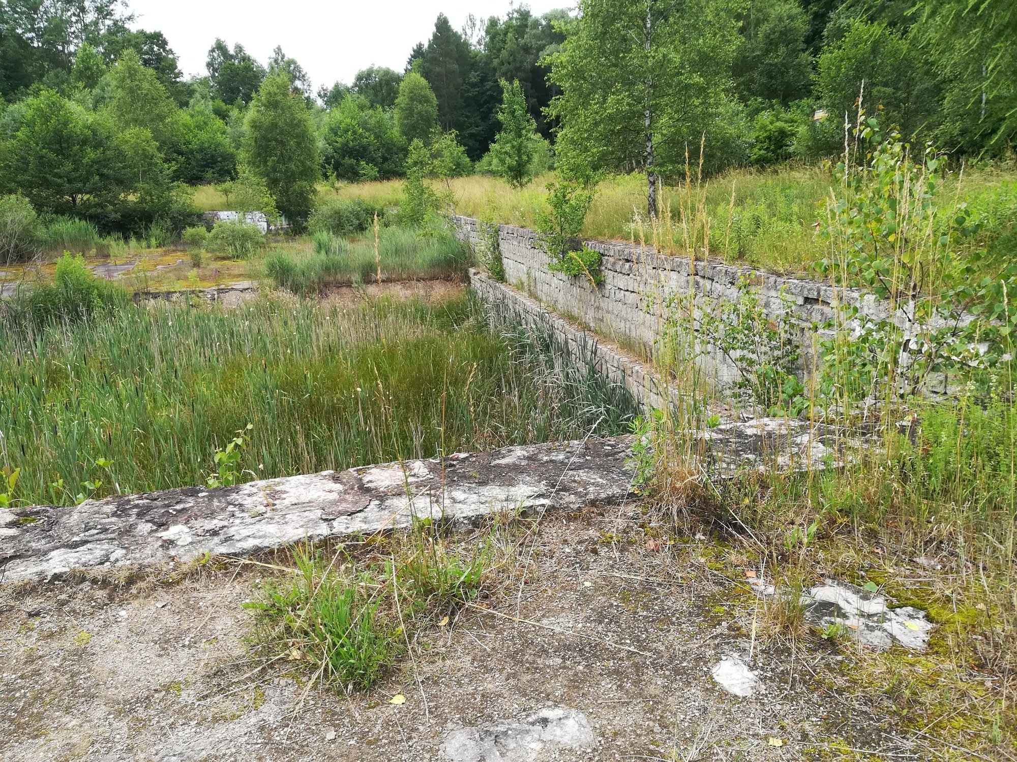 czytelniczka-utrudnic-wjazd-na-rakownice-98060