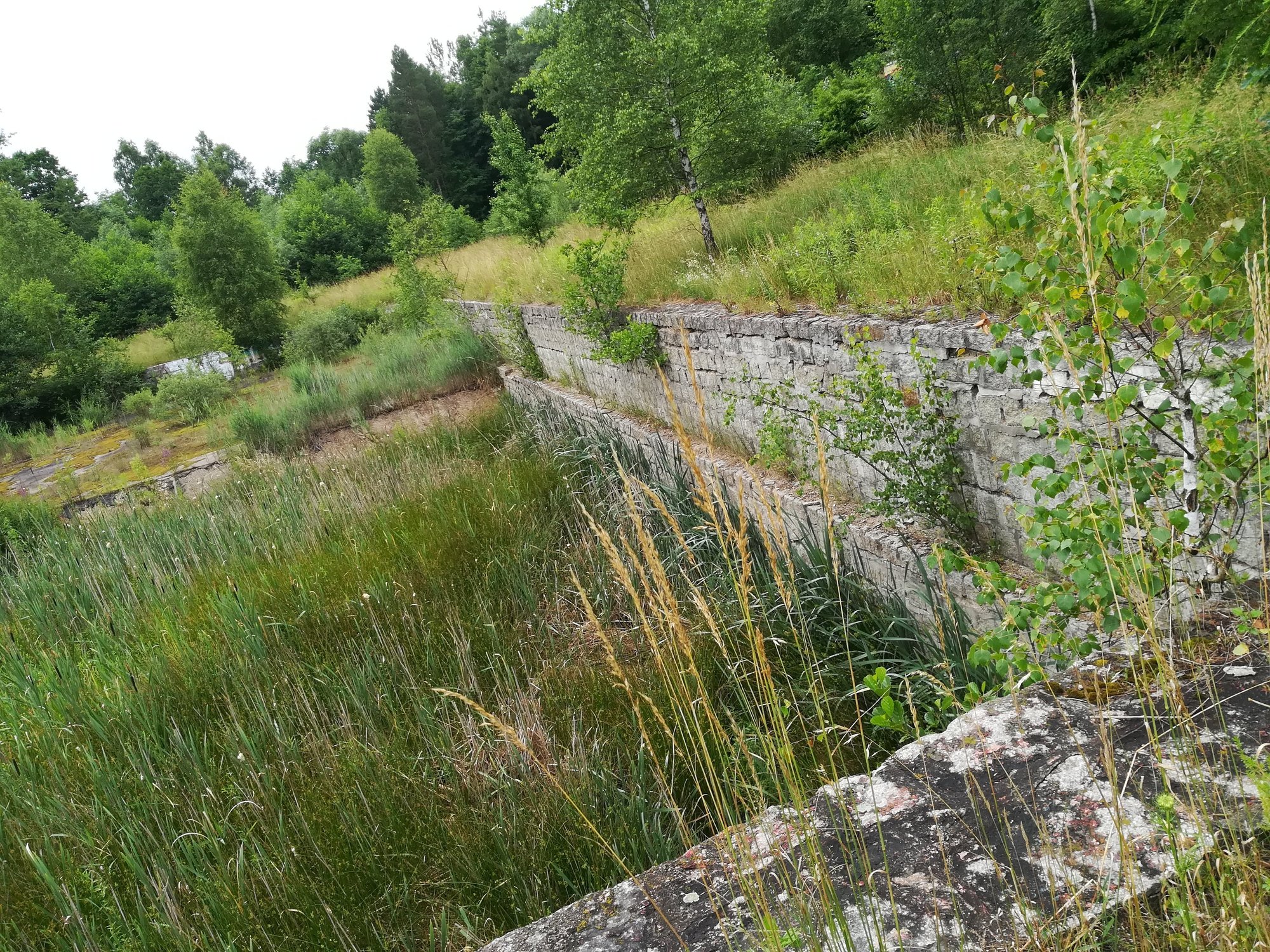 czytelniczka-utrudnic-wjazd-na-rakownice-98060