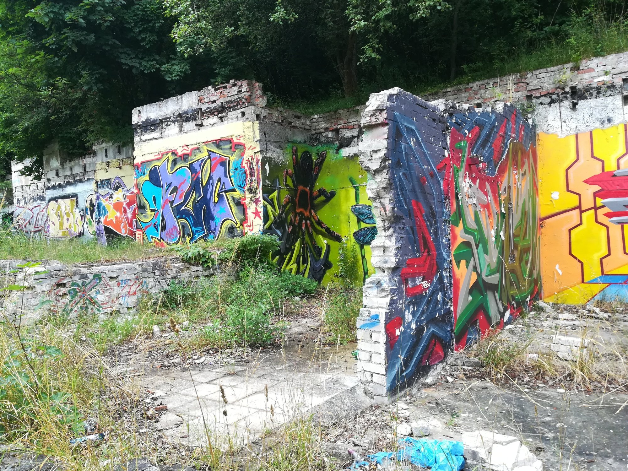 czytelniczka-utrudnic-wjazd-na-rakownice-98060