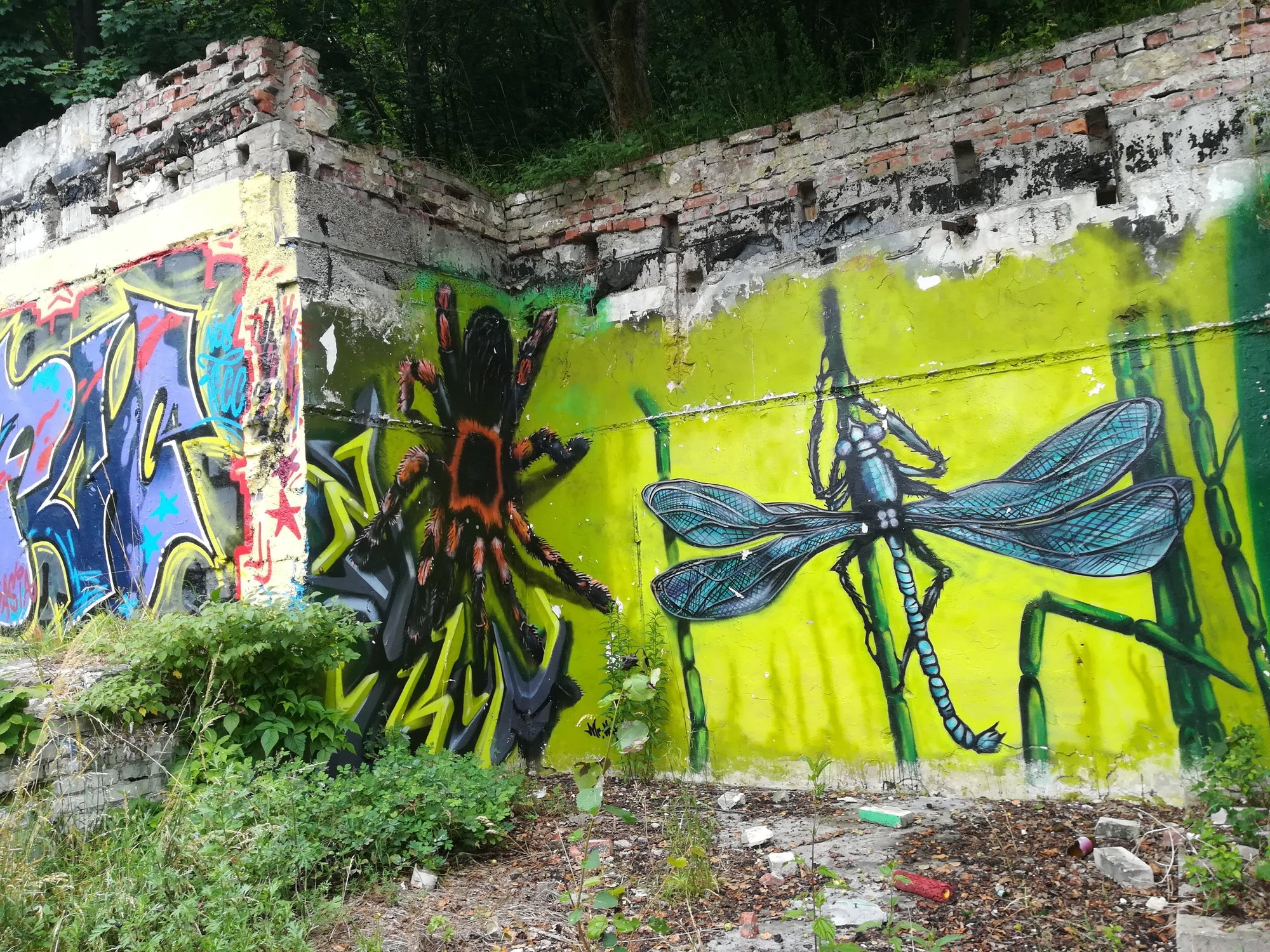 czytelniczka-utrudnic-wjazd-na-rakownice-98060