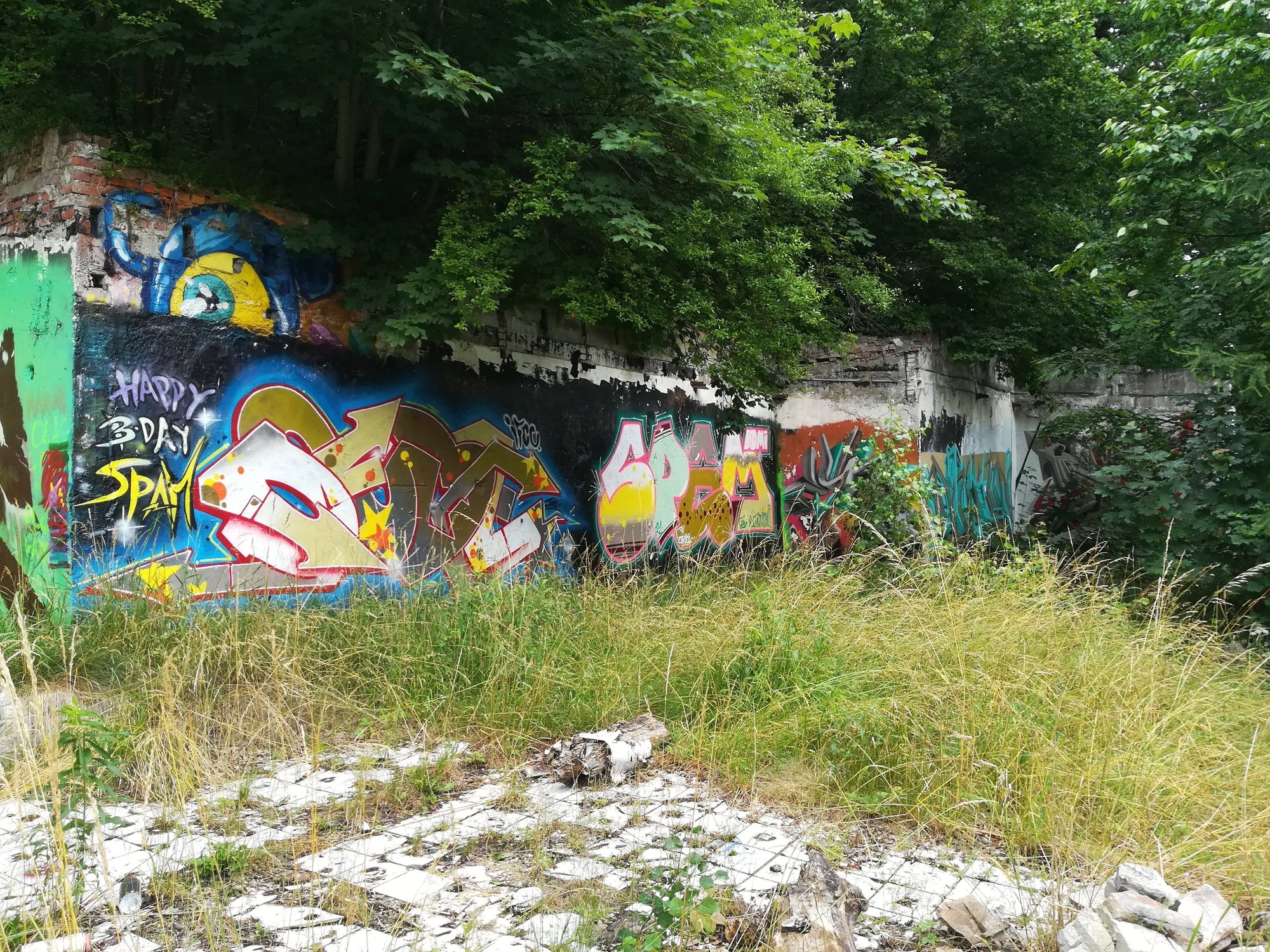 czytelniczka-utrudnic-wjazd-na-rakownice-98060