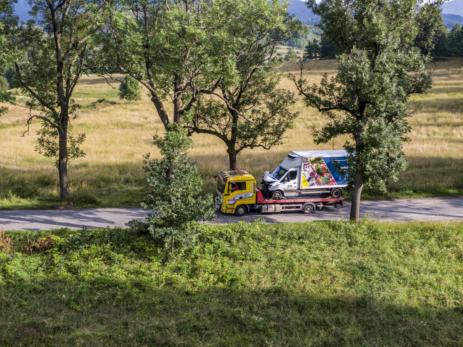 wjecha-w-drzewo-98147