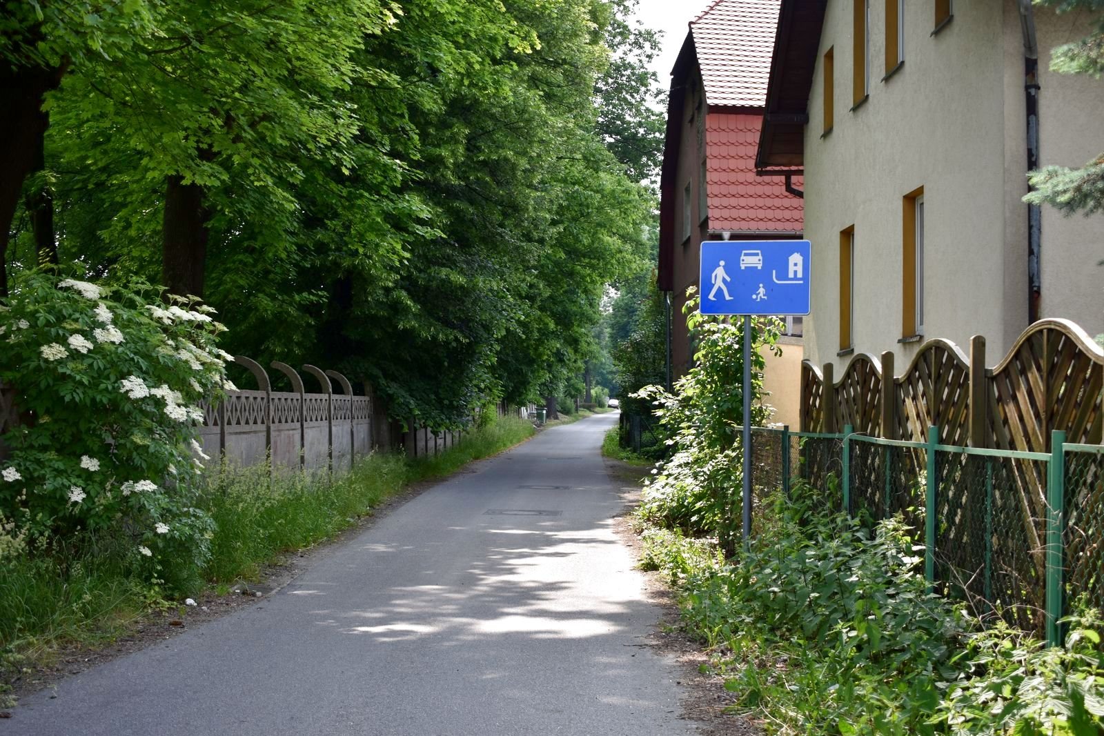 niebezpiecznie-na-ulicy-orkana-98237