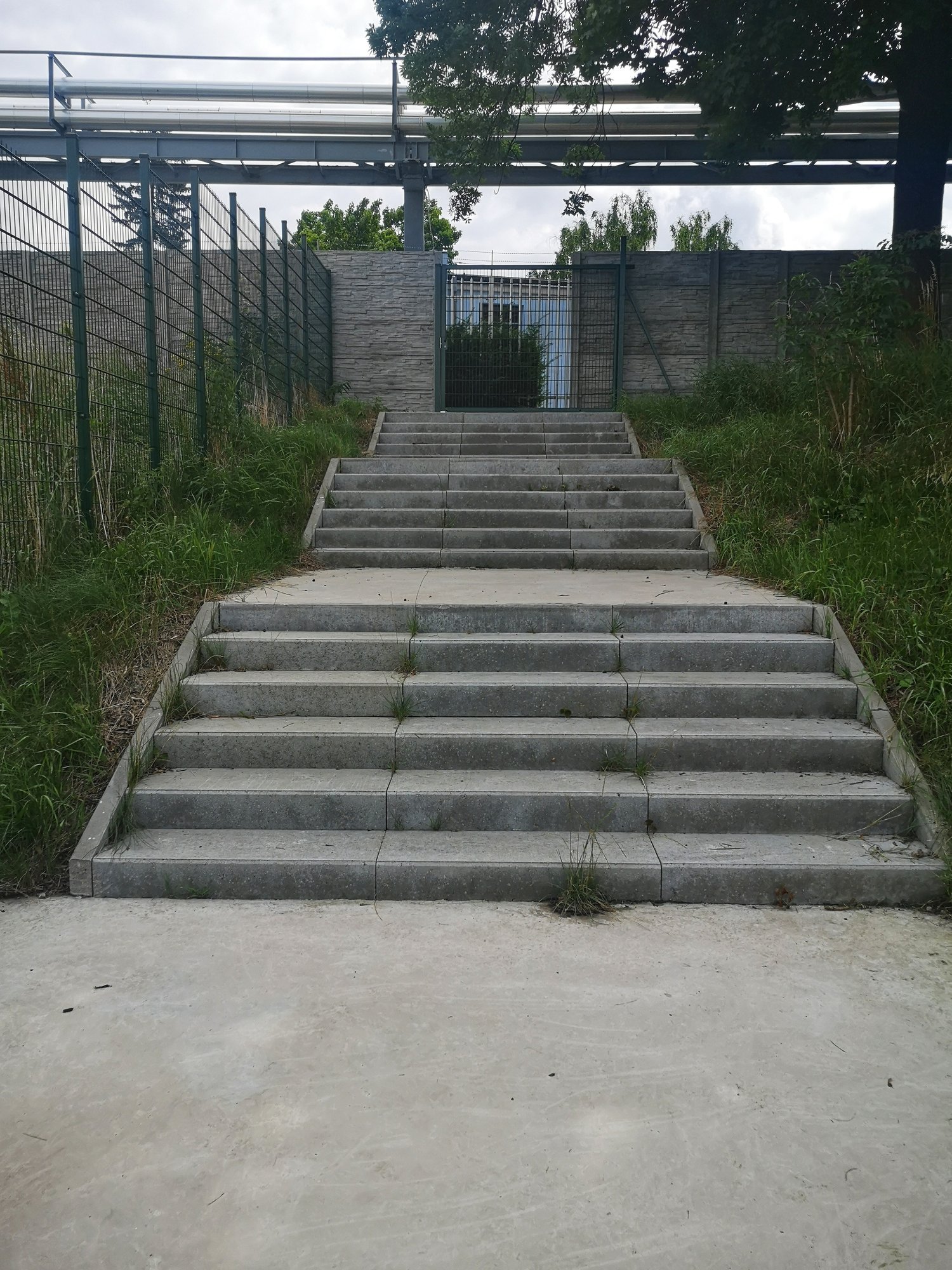 trybuna-dotara-98253