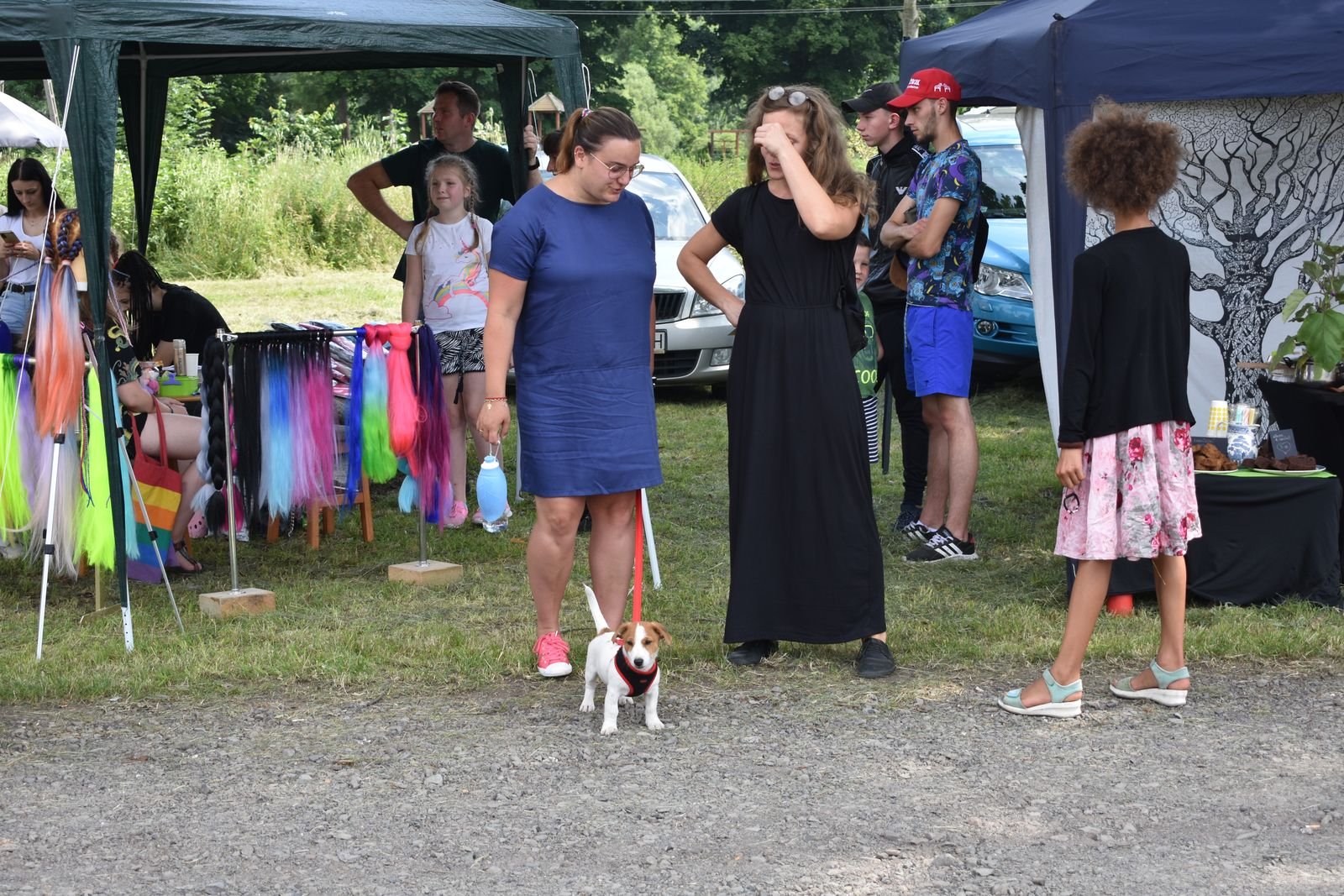 festyn-charytatywny-dla-pogorzelcow-z-rebiszowa-98361