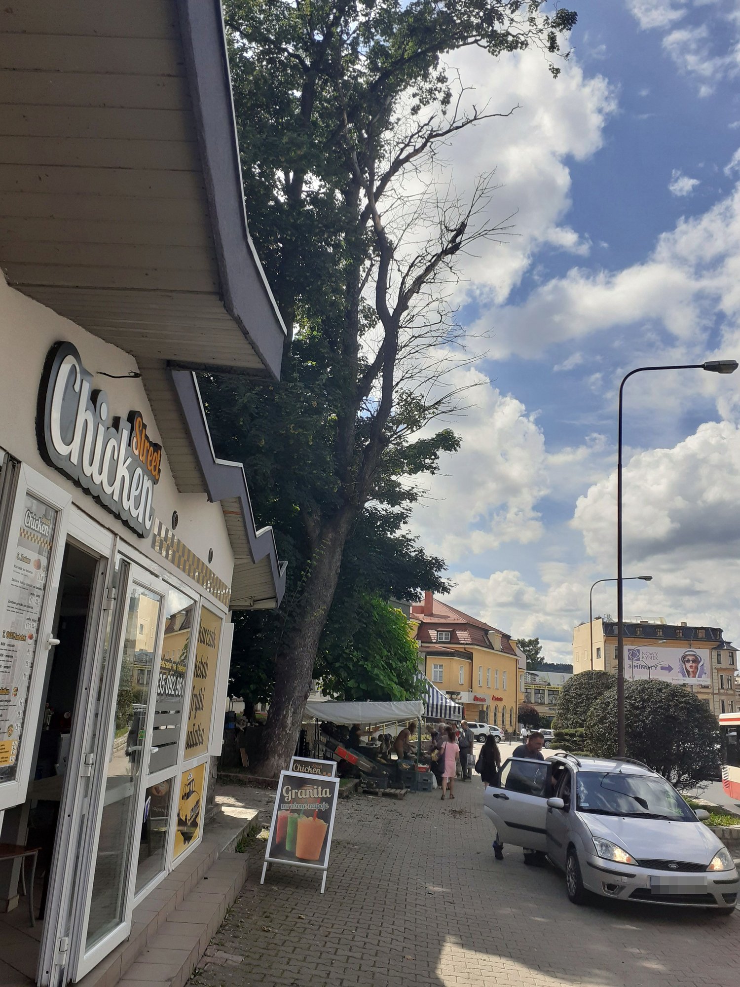 niebezpieczny-jawor-98571