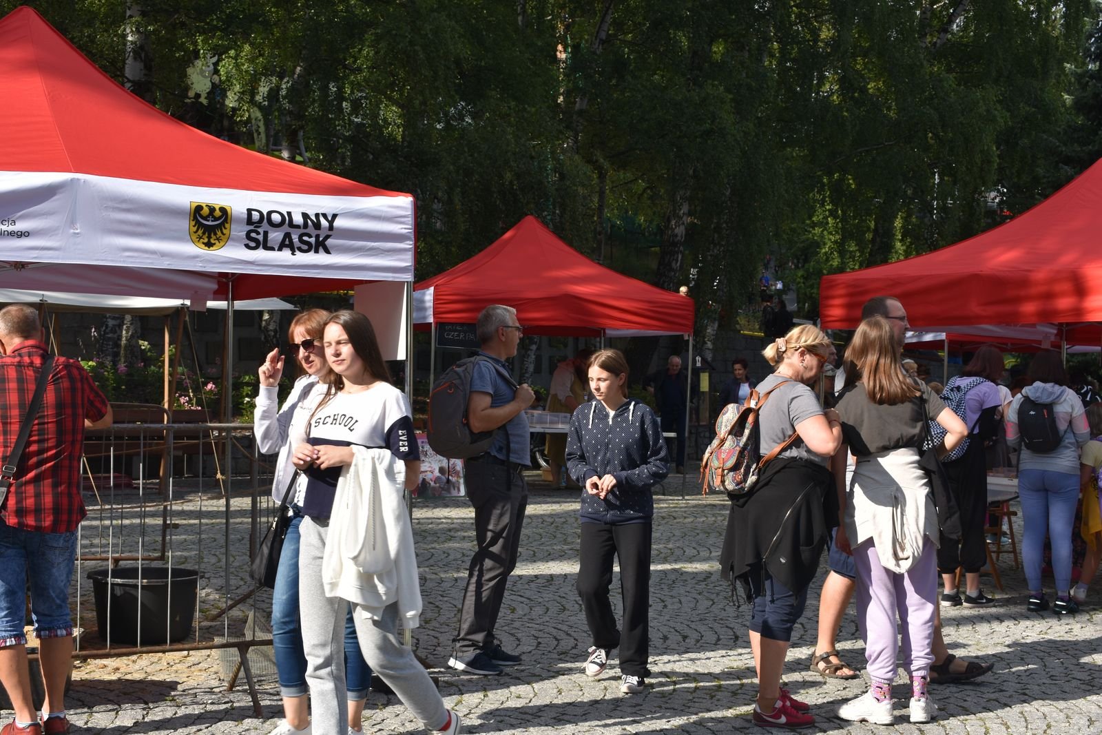 szklany-art-skwer-98821