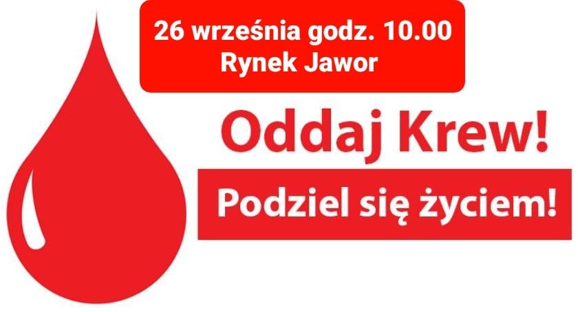 oddaj-krew-99132