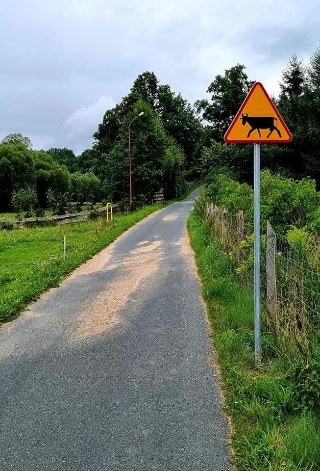 ma-byc-bezpieczniej-99161