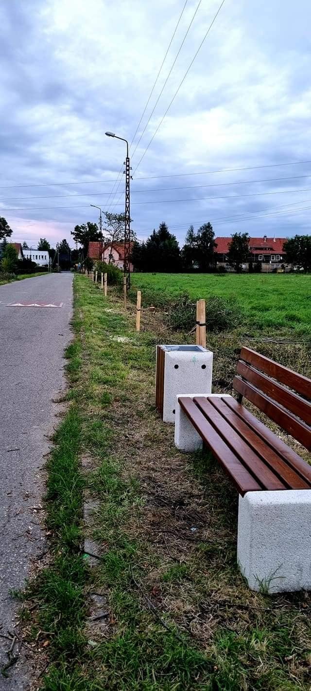 na-alei-jarzebinowej-znowu-beda-jarzebiny-99191