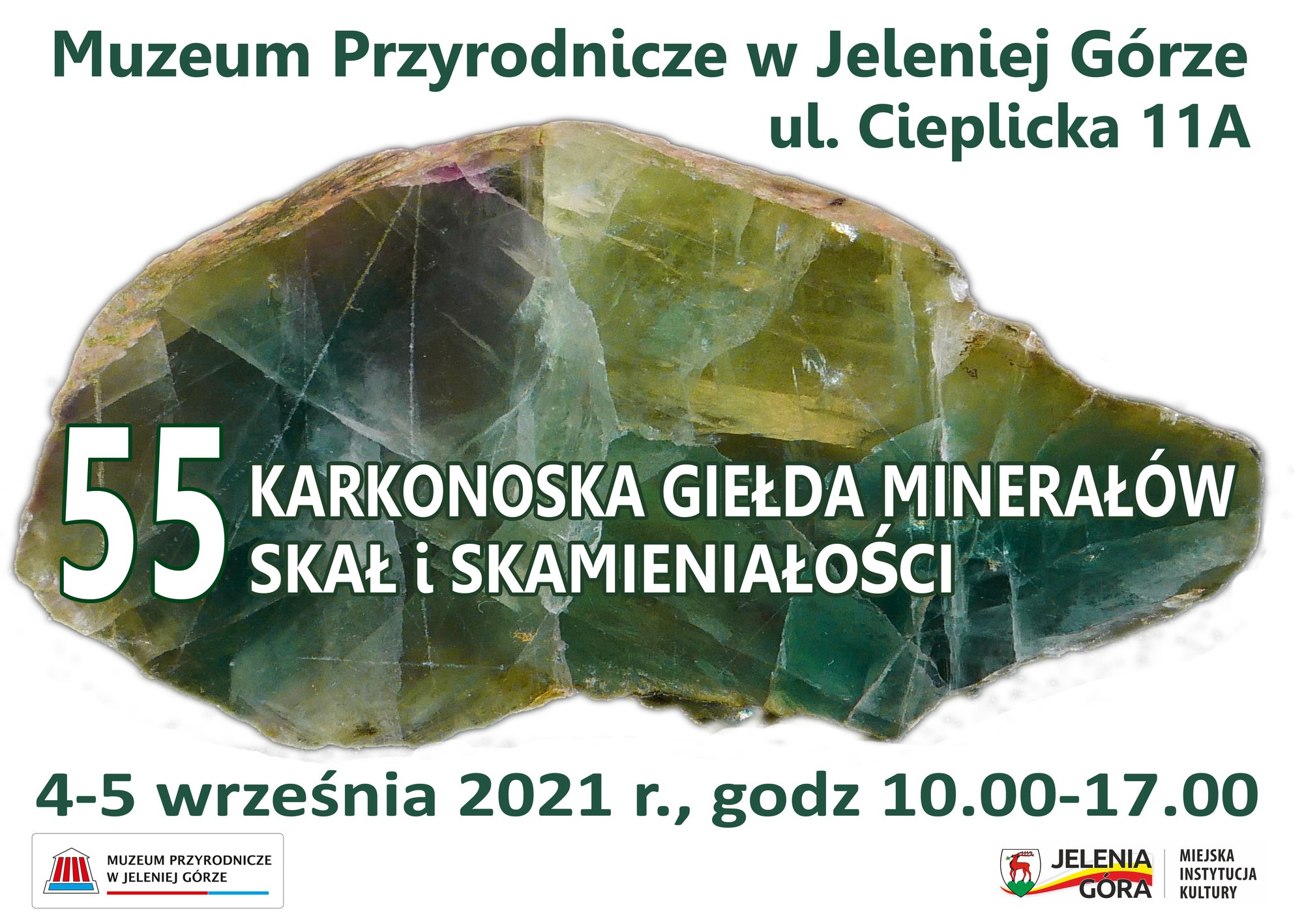 gieda-mineraow-i-skamieniaosci-wkrotce-99202