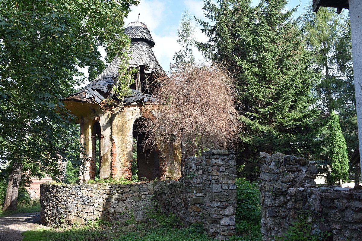 porzadki-przy-grzybku-99266