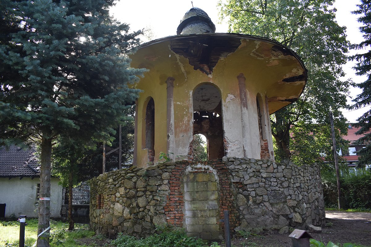 porzadki-przy-grzybku-99266