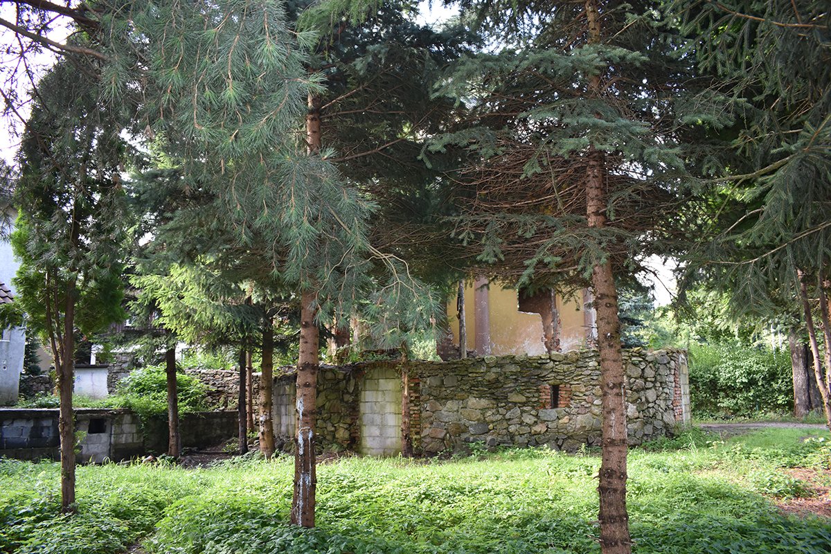 porzadki-przy-grzybku-99266