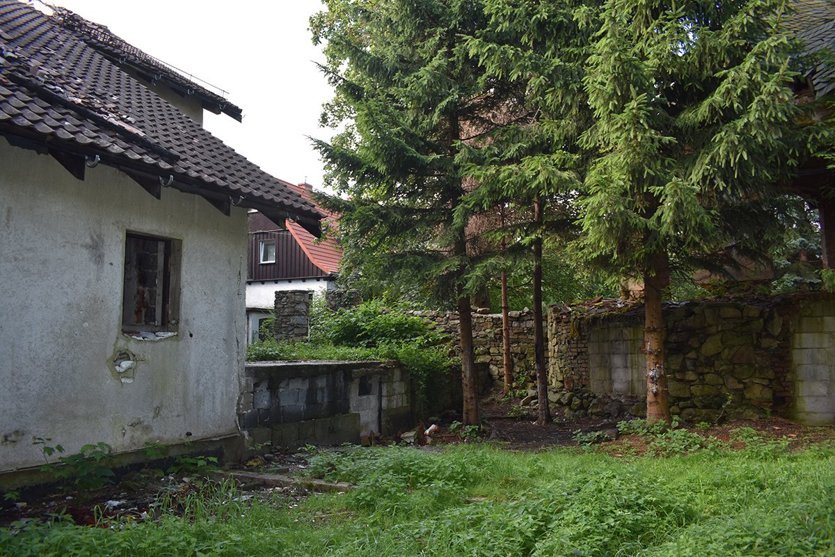 porzadki-przy-grzybku-99266