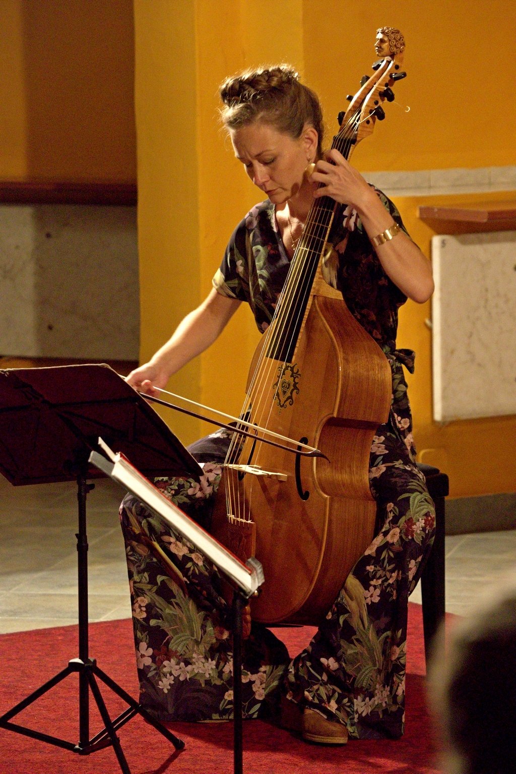 viola-da-gamba-na-sobotni-wieczor-99387