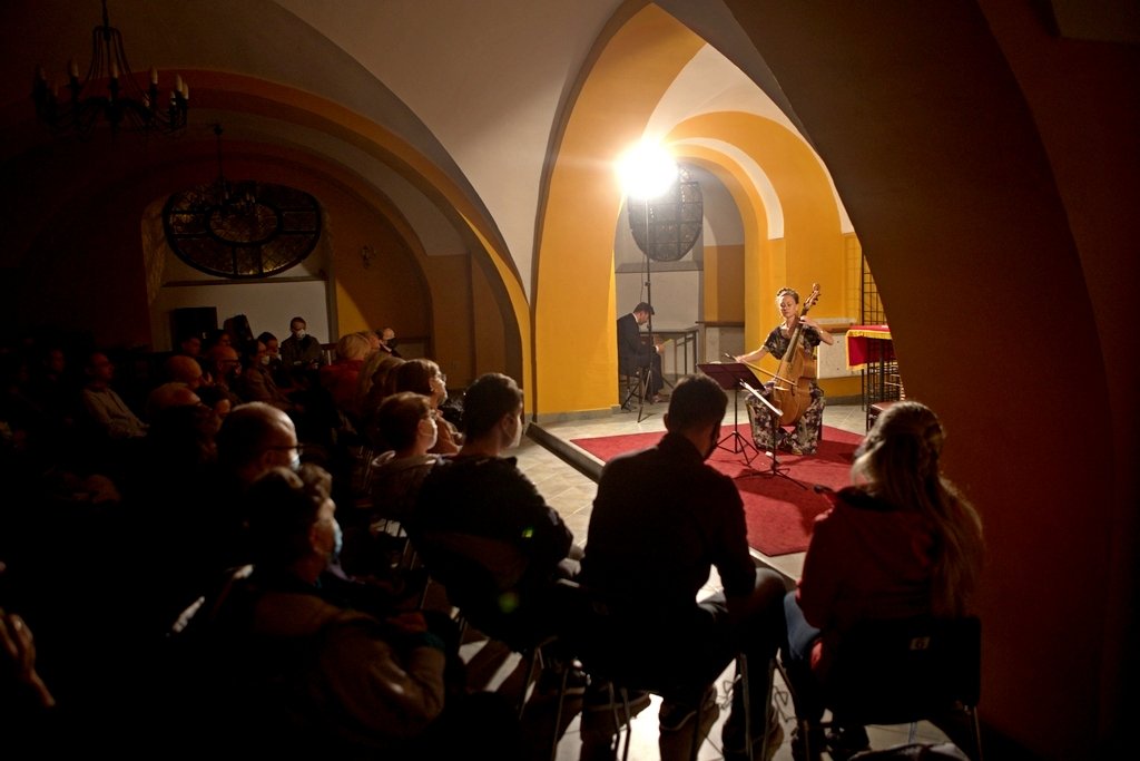 viola-da-gamba-na-sobotni-wieczor-99387