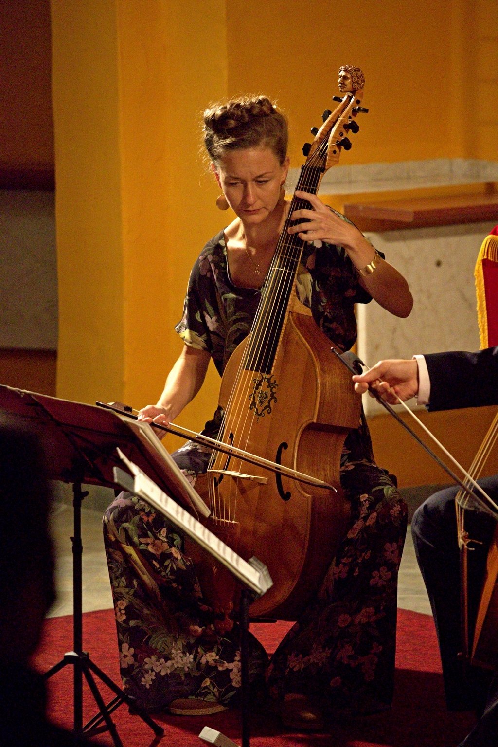 viola-da-gamba-na-sobotni-wieczor-99387