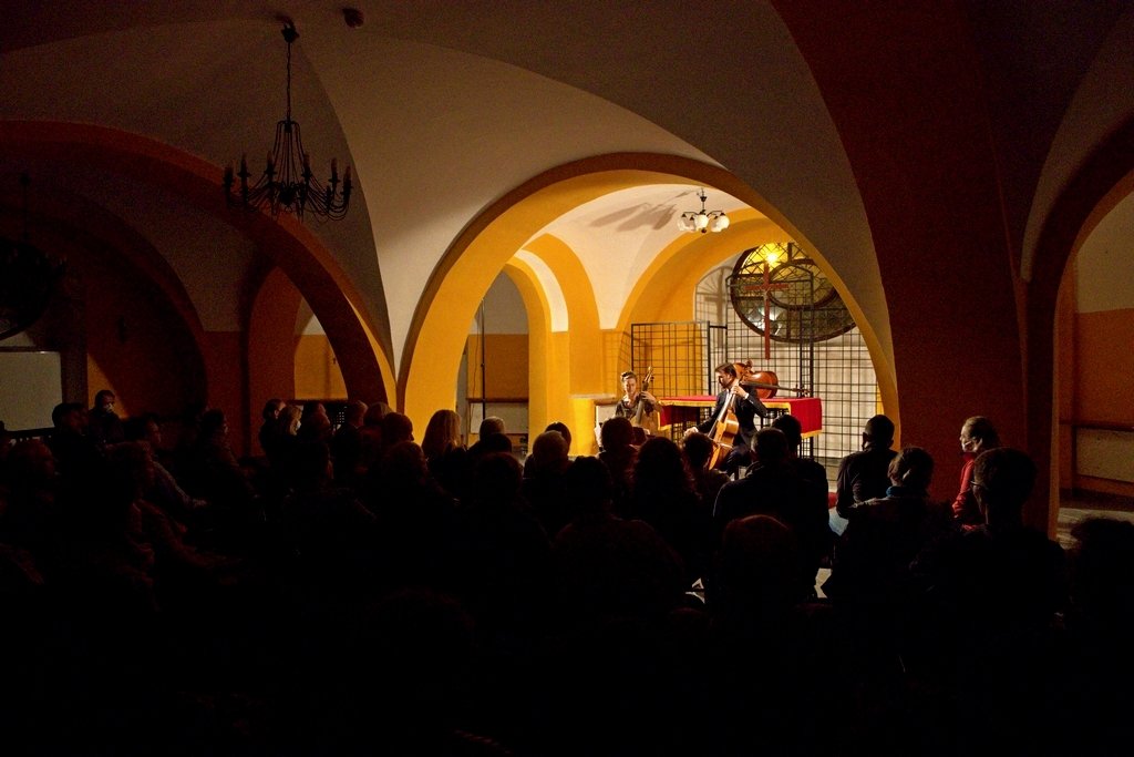 viola-da-gamba-na-sobotni-wieczor-99387