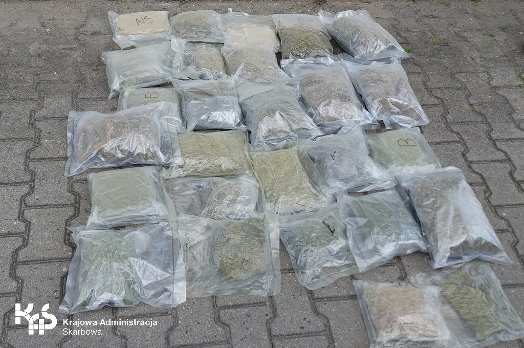 marihuana-w-kole-zapasowym-99444