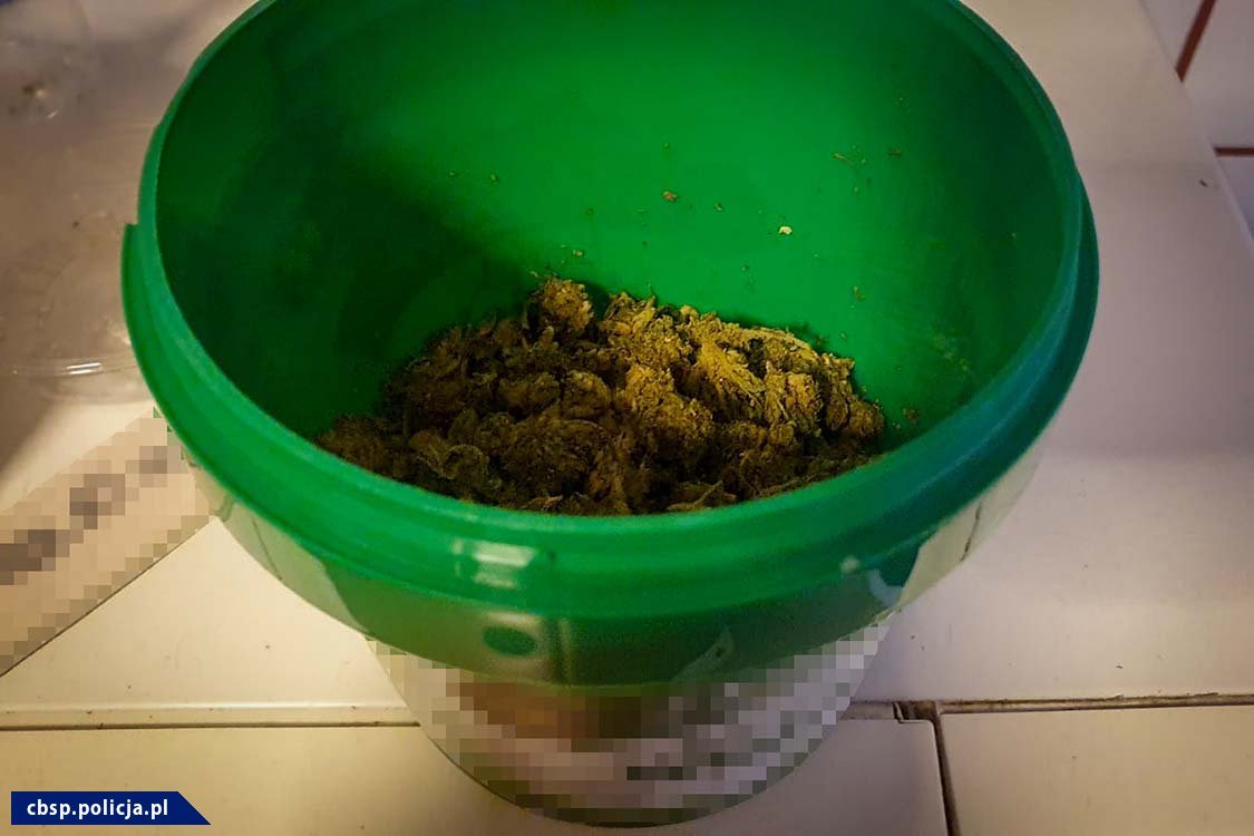 rozbity-gang-pseudokibicow-99656