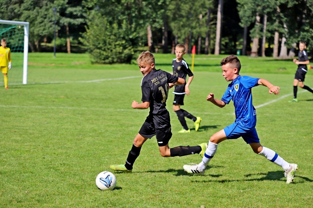 porazka-w-parku-norweskim-99671