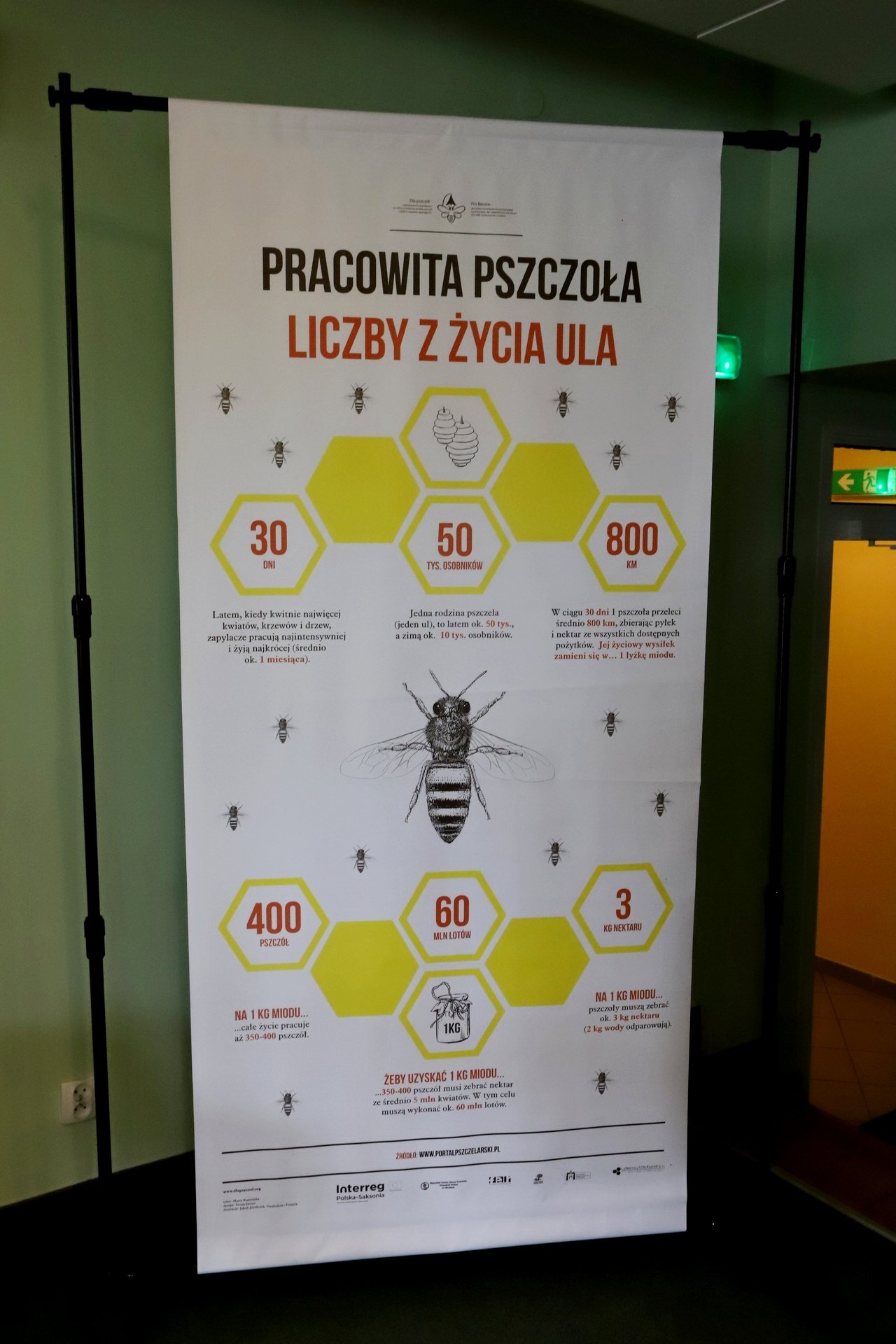 pasieka-miejska-to-sie-opyla-99699