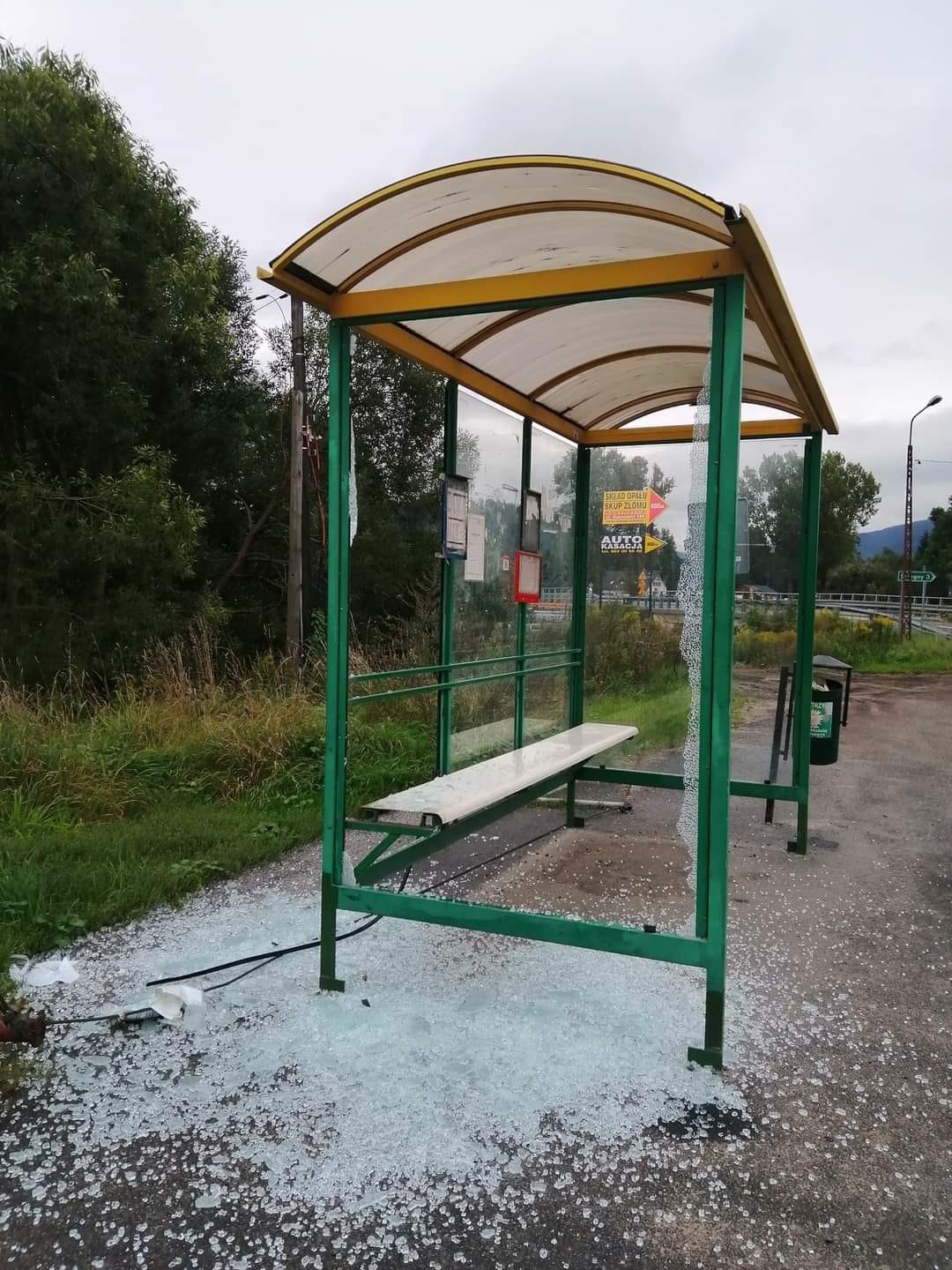 wandale-na-przystanku-99723