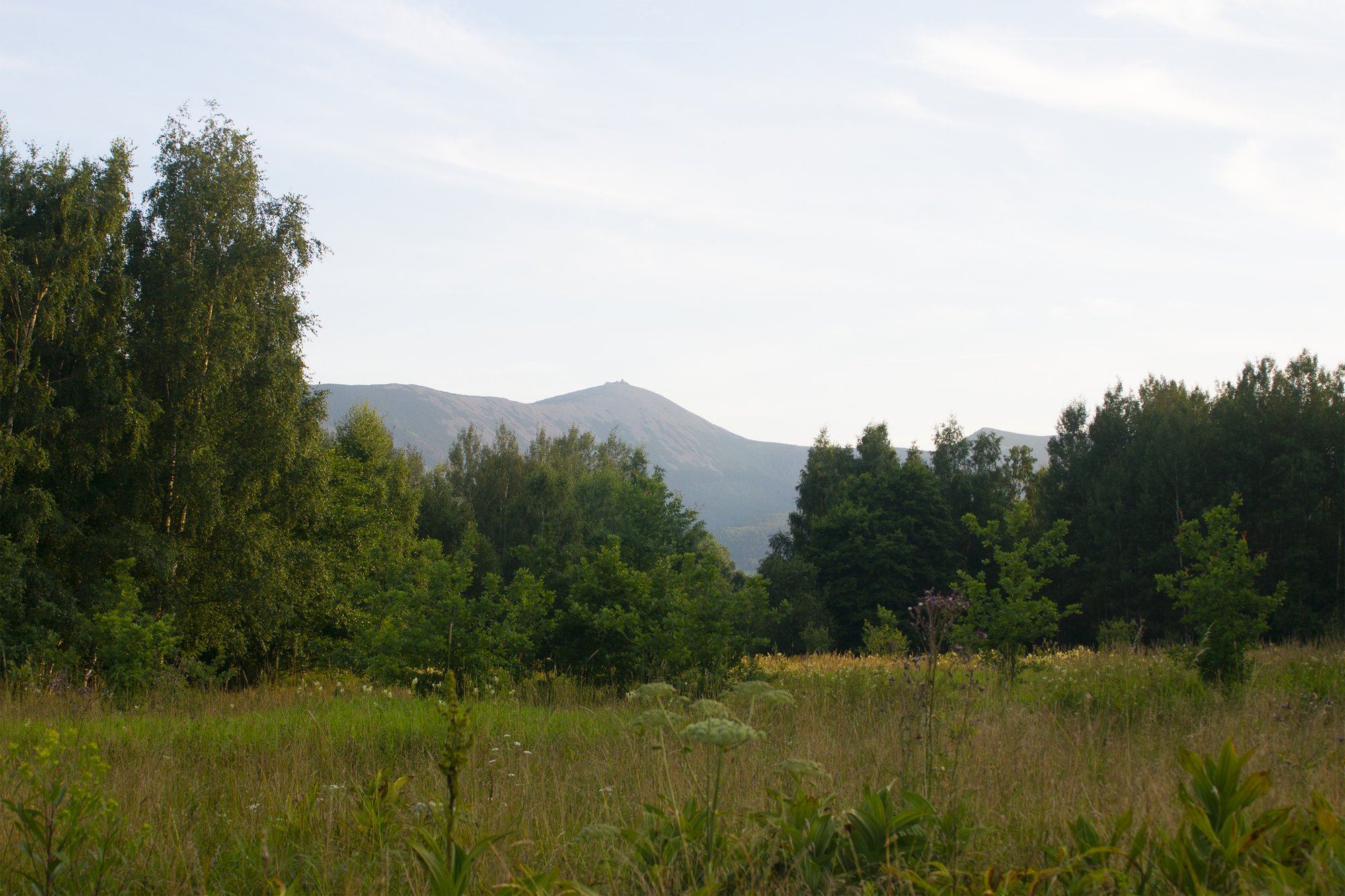 park-rozrywki-nie-tutaj-99725