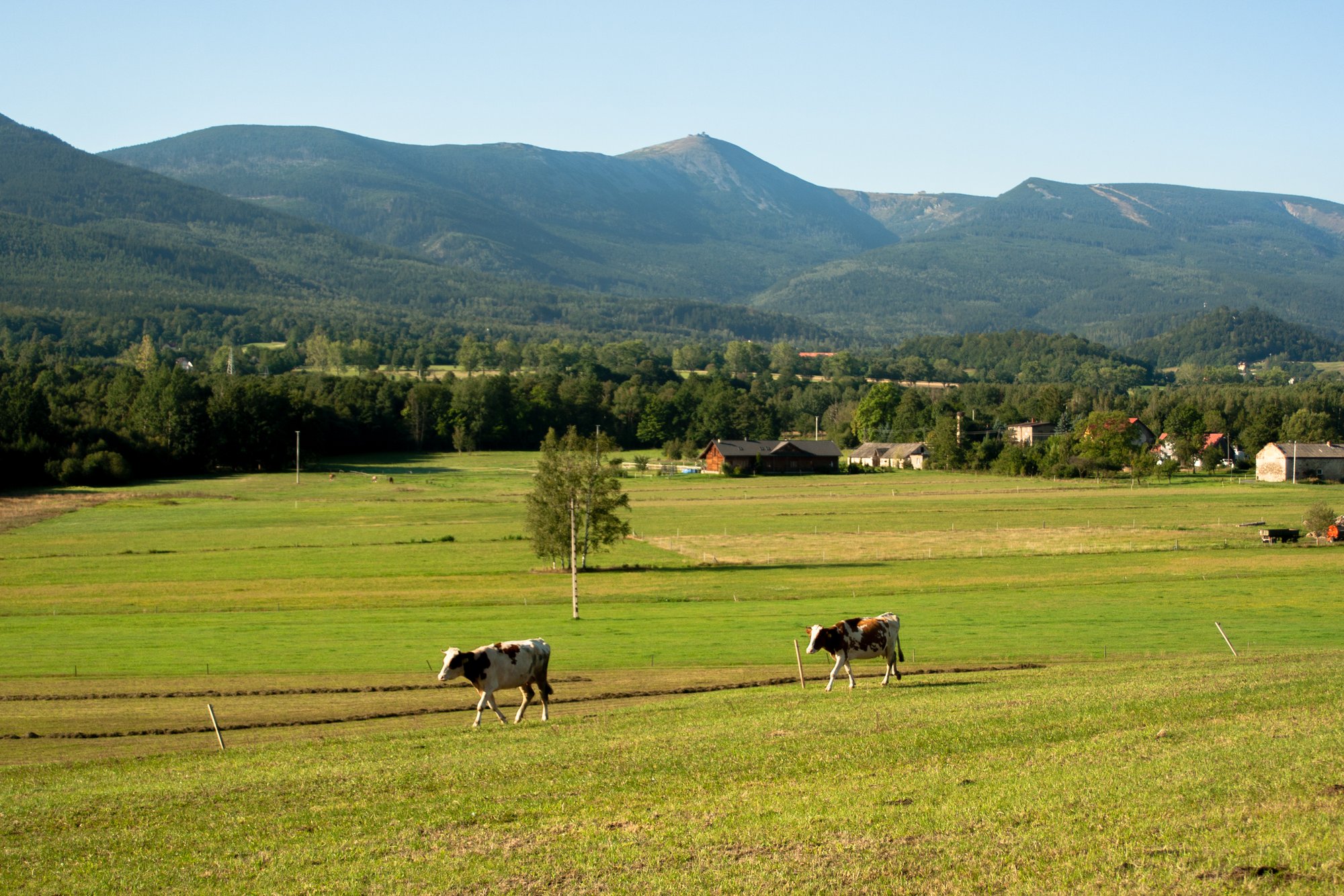 park-rozrywki-nie-tutaj-99725