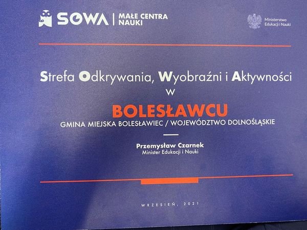 sowa-w-miescie-99760