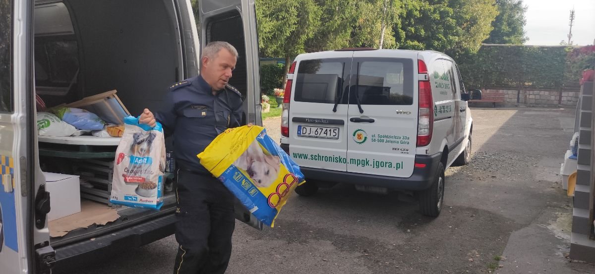 straznicy-miejscy-na-rzecz-zwierzat-99771