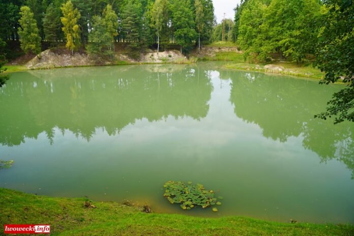 zawody-wedkarskie-99828