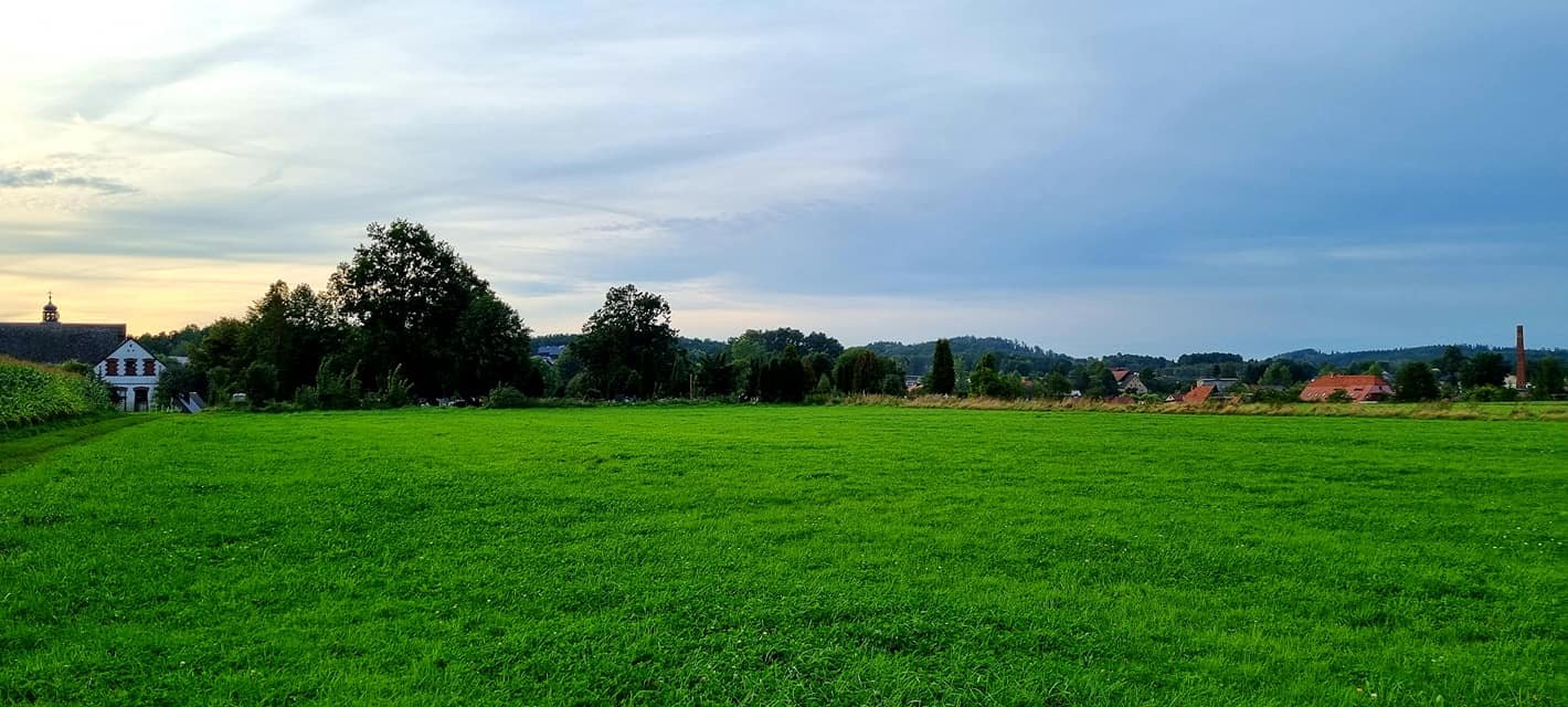 rozbudowa-nekropolii-99894
